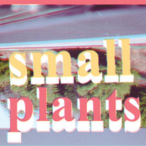 screen house music: small plants